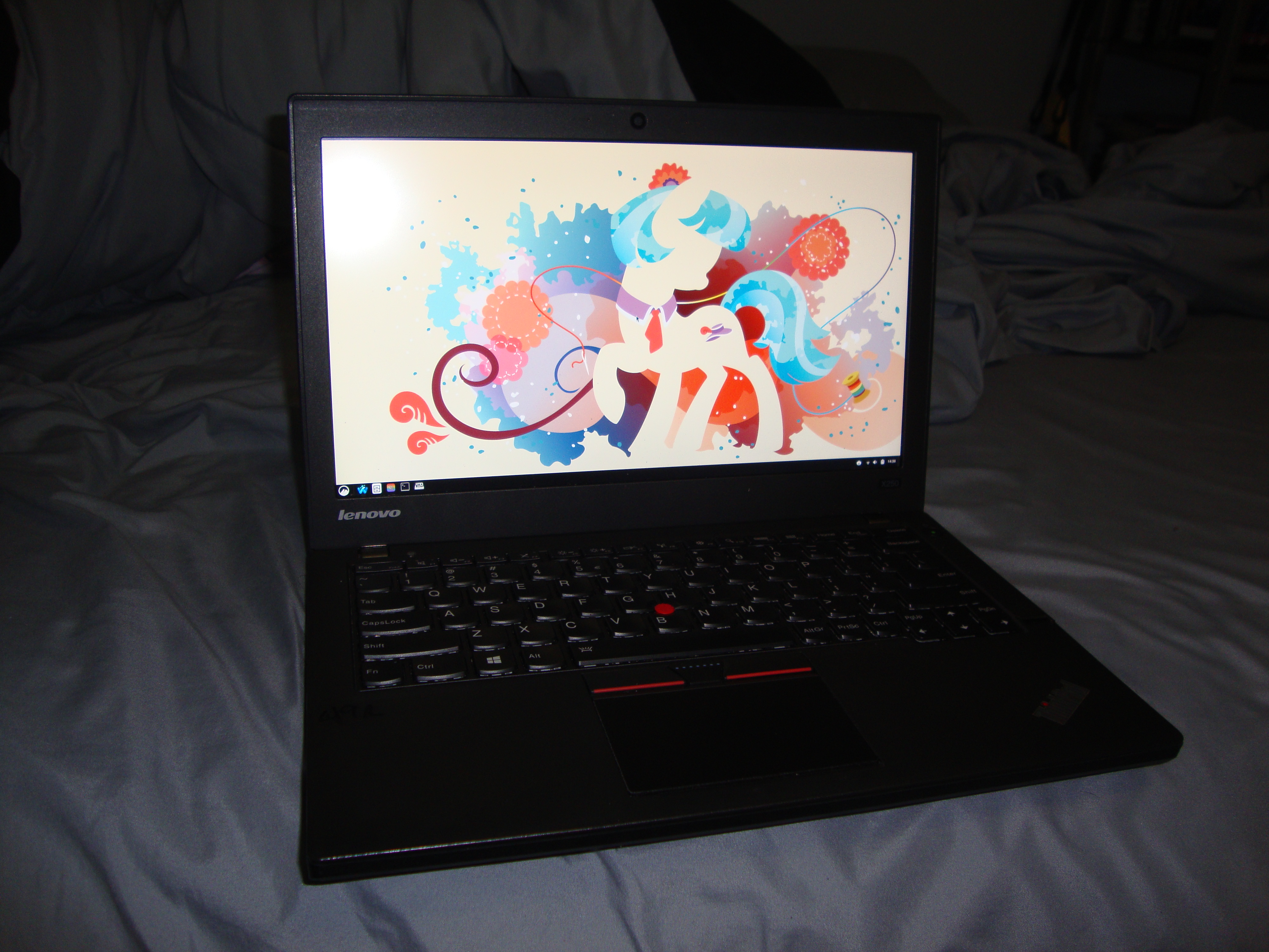 Thinkpad X250